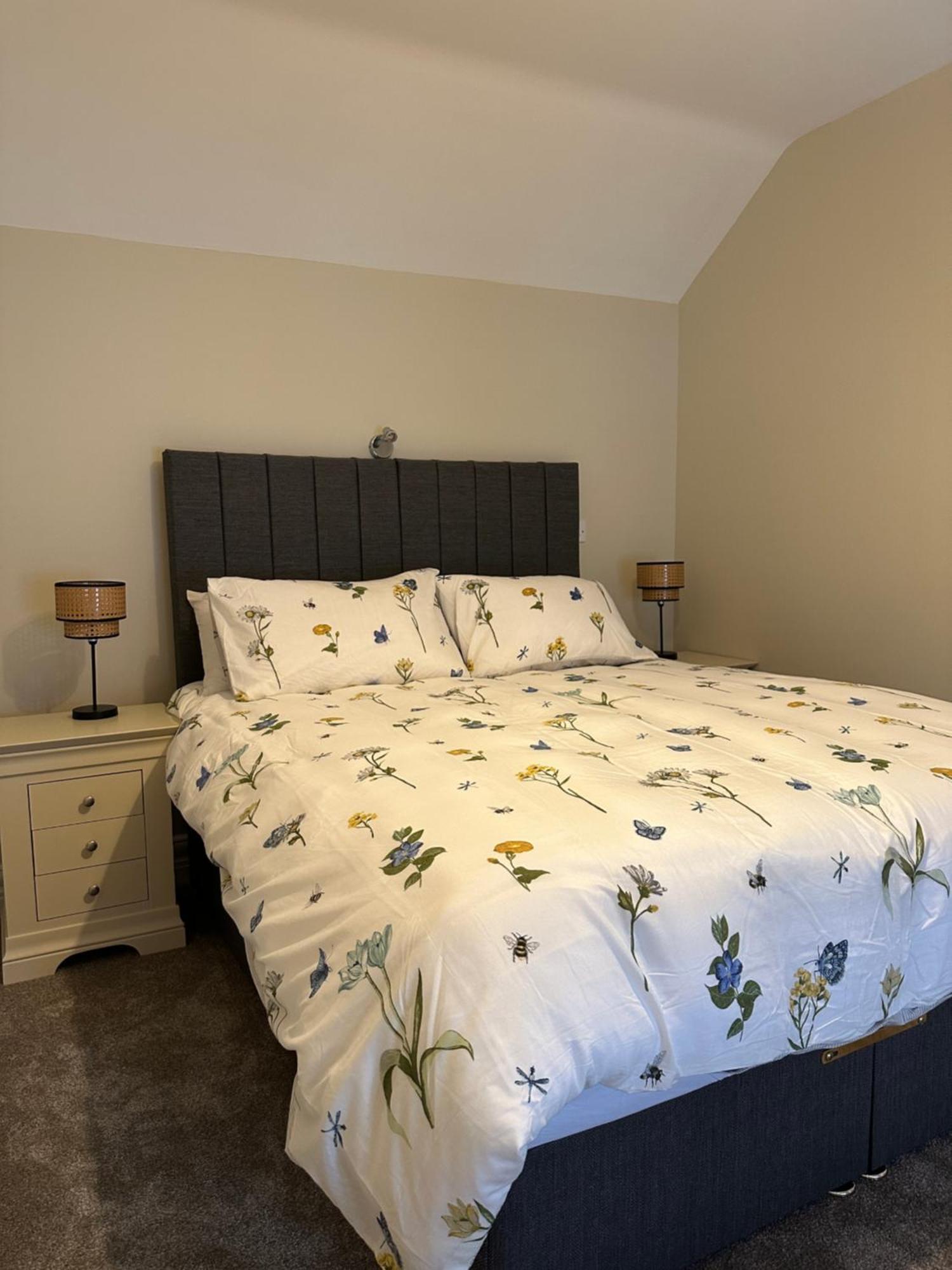 Adams Complex Apartman Tullamore Kültér fotó